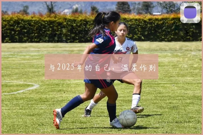 与2025年的自己，温柔作别