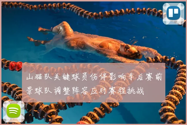 山猫队关键球员伤停影响季后赛前景球队调整阵容应对赛程挑战