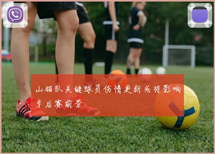 山猫队关键球员伤情更新或将影响季后赛前景