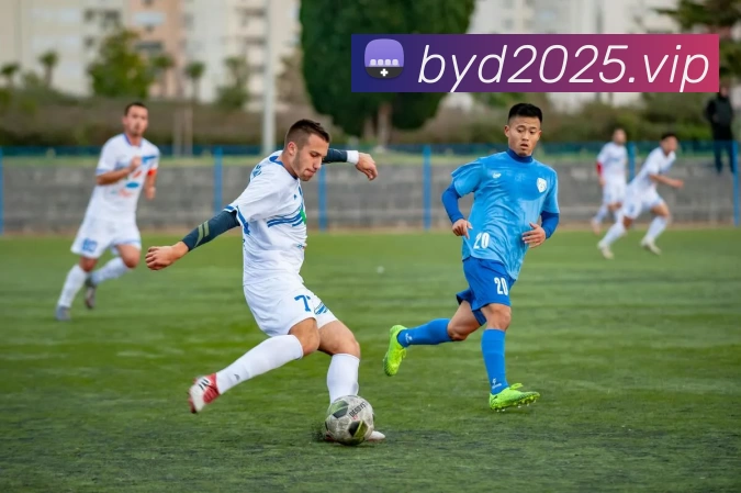 kaiyun - 开云(中国)官方网站 - KAIYUN.COM发展历程